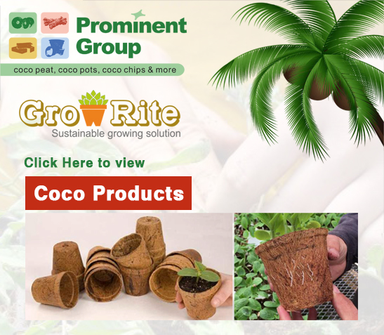 Coco-Products-Handicrafts-Manufacturer-in-India